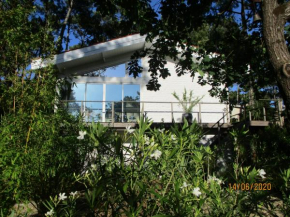 une maison lumineuse sous les pins